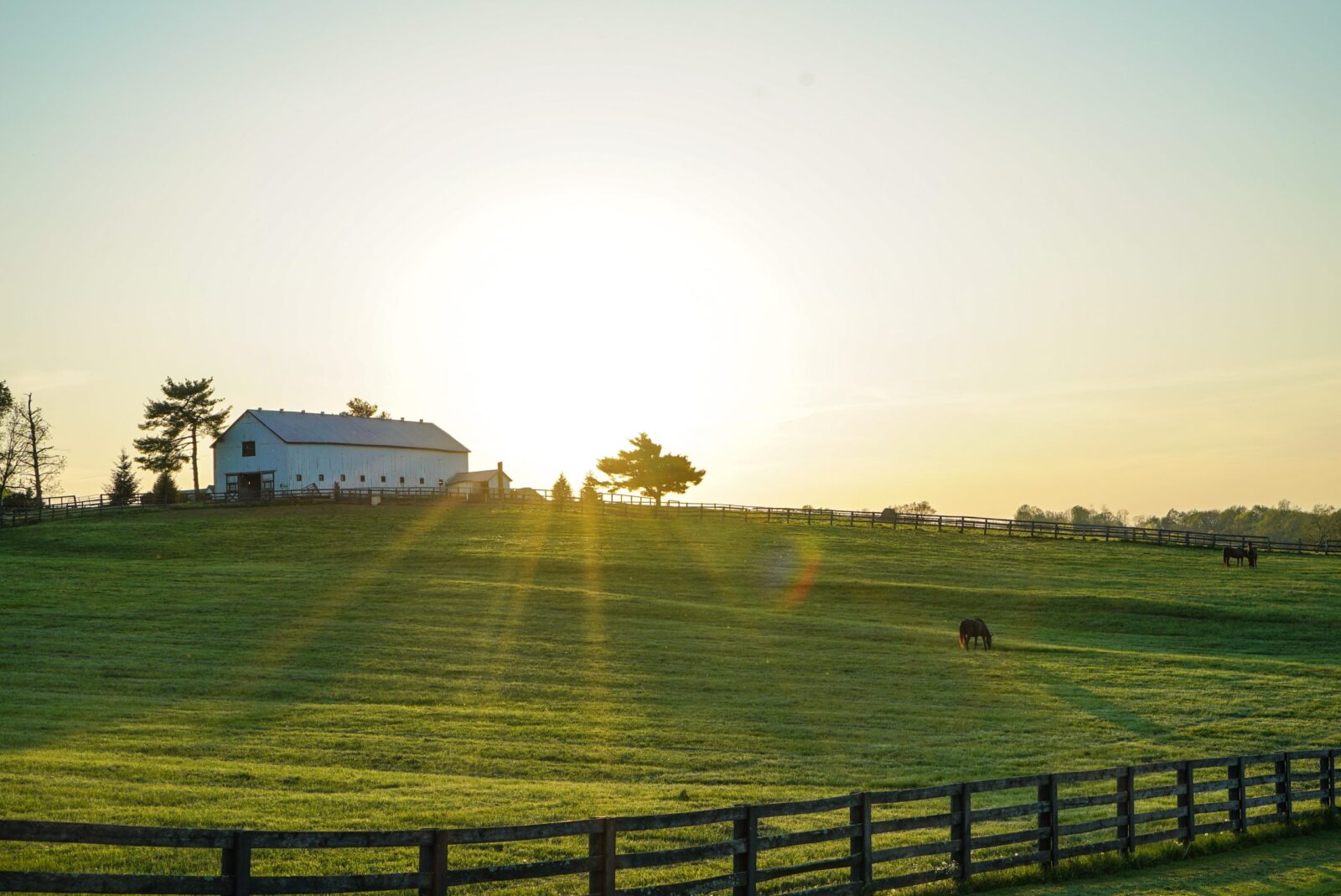 agrivoltaico